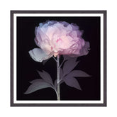 Etere Floreale